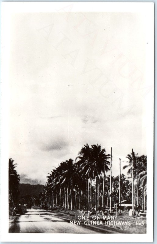 c1940s Papua New Guinea RPPC Highway Palm Trees Tropical Roadside Scene A336