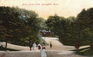 Vintage Postcard 1908 The Drive Forest Park Springfield Massachusetts Robbins