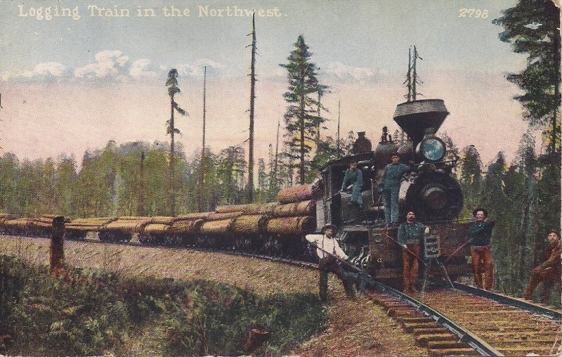 Logging Train, Steam Locomotive, 1910's WA OR CA, Railroad Men, Pacific NW
