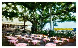 Moana Hotels world famous Banyan Court Lanai Hawaii Postcard