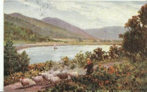 Scotland Postcard - The Lochan - Dunoon - Argyll and Bute   V1891