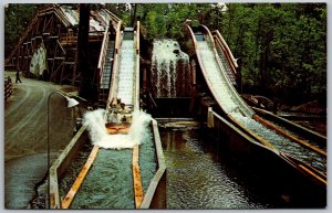 Cedar Point On Lake Erie Sandusky Ohio 1960s Postcard Shoot The Rapid Amusement