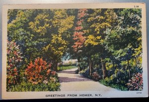 Vintage Postcard 1930-1945 Greetings from Homer, New York (NY)