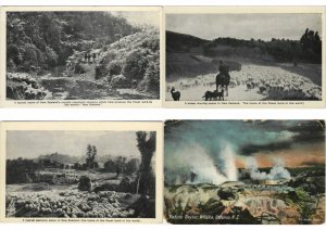 NEW ZEALAND MOSTLY PRE-1950 49 Vintage Postcards (L3343)