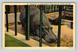 Kansas City MO, Swope Park Zoo, Hippopotamus, Linen Missouri Postcard 