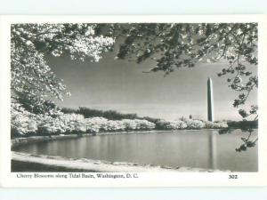 old rppc CHERRY BLOSSOMS Washington DC i6286