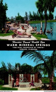 Florida Venice Warm Mineral Springs