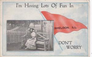 Pennant Series Sheldon Illinois 1913