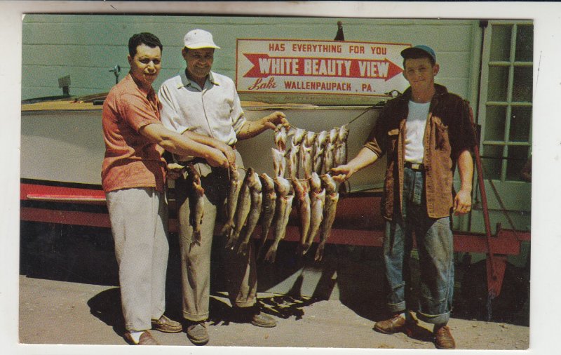 P2455, vintage fishing good days catch white beauty view lake wallenppaupack PA