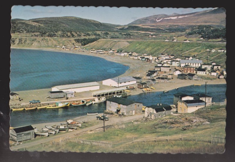 NEWFOUNDLAND - Fishing Community Of Trout River - 1960s - Unused