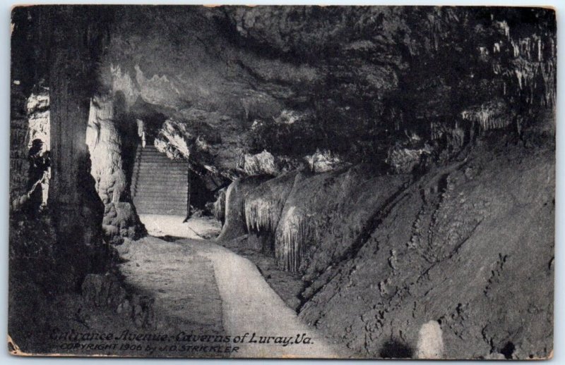 Postcard - Entrance Avenue - Caverns of Luray, Virginia