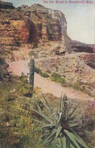 Arizona Scene On The Road To Roosevelt