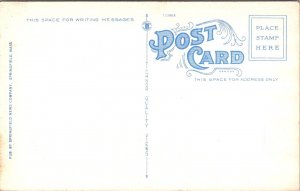 Aerial View, Eastern States Exposition Grounds Springfield MA Postcard S43