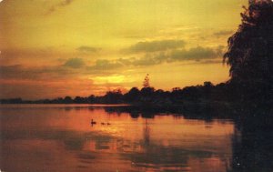 NEWTON GREETINGS DUCKS ON POND AT SUNSET PM 1956 USED CHROME POSTCARD