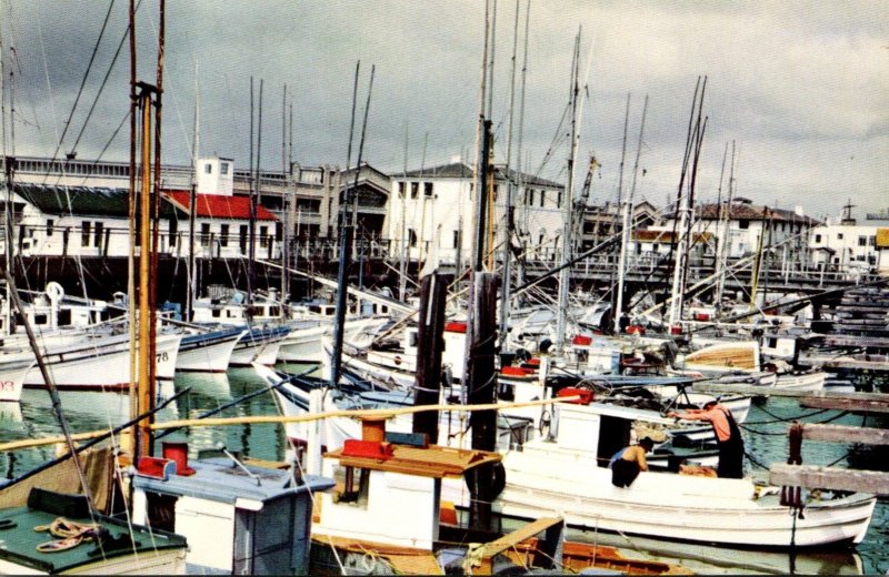 California San Francisco Fisherman's Wharf Showing Fishing Fleet