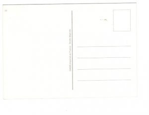 Siouxsie & The Banshees, Cities in Dust, Musicians