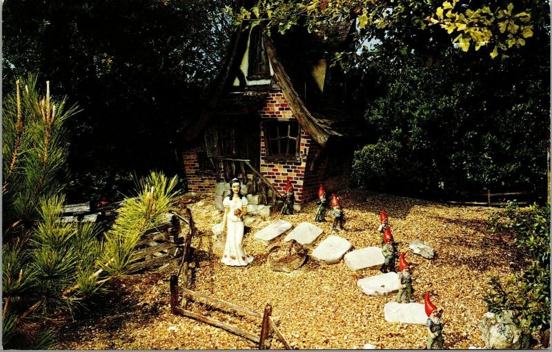 Vtg Tampa Florida FL Snow White and the Seven Dwarfs Busch Gardens Postcard
