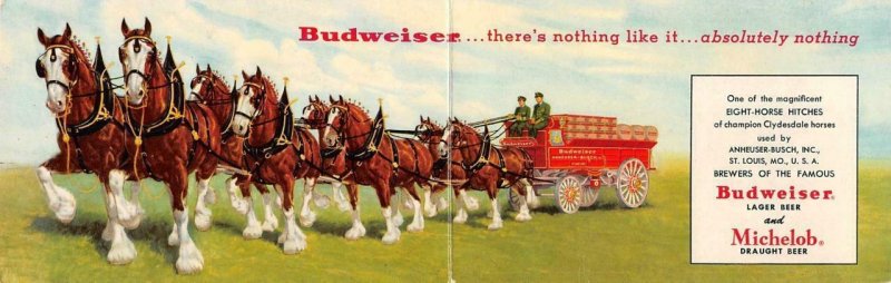 Anheuser-Busch Ad  BUDWEISER BEER CLYDESDALE HORSES  Bi-Fold 3½ X11 Postcard