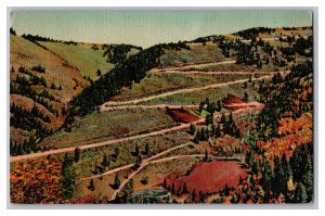 Postcard NM Red River Pass Red River New Mexico