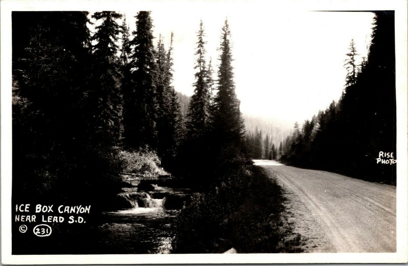 Vtg 1930s Ice Box Canyon Near Lead South Dakota SD RPPC Real Photo Postcard