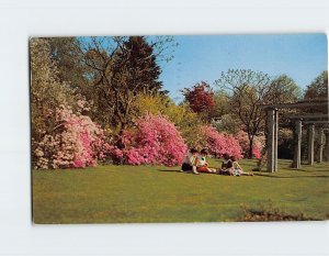 Postcard Forest Park Flower Garden, Springfield, Massachusetts