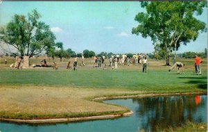 Lakewood CA California GOLF COURSE~COUNTRY CLUB Golfers~1st Tee ca1950s Postcard