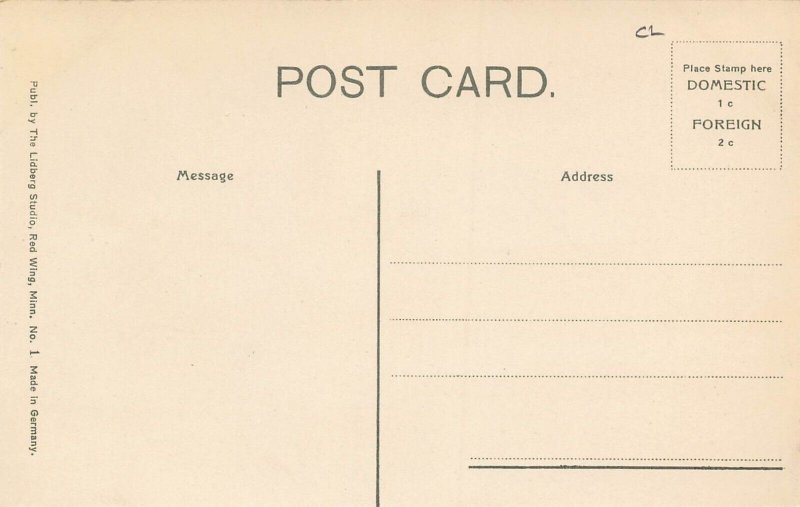 Military Drill State Training School Red Wing Minnesota 1910c postcard