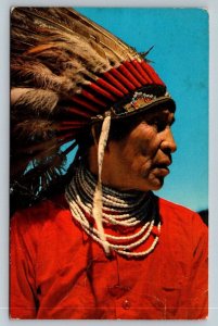 Native American Hopi Indian  Arizona  Postcard