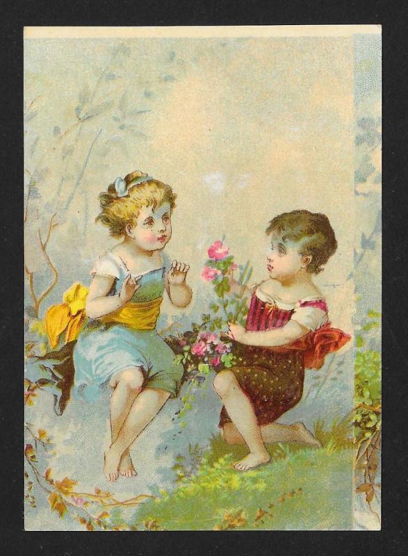 VICTORIAN TRADE CARD Two Children with Flowers