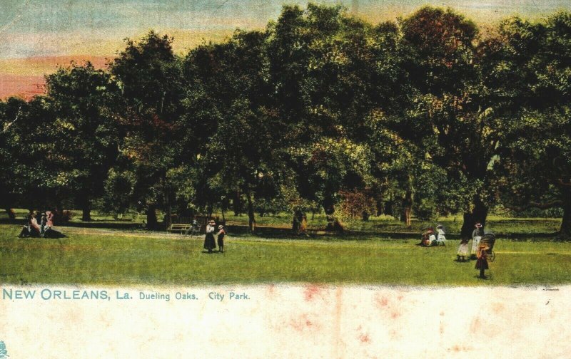 USA New Orleans Louisiana Dueling Oaks City Park Vintage Postcard 08.91 