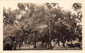 B68/ Kennebunk Maine Me RPPC Real Photo Postcard c40s Lafayette Elm Hotel