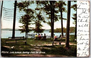 Maine ME, 1906 View of Lake Auburn, Looking From The Grove, Vintage Postcard