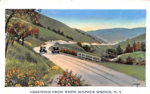 Greetings From White Sulphur Springs, New York Postcard