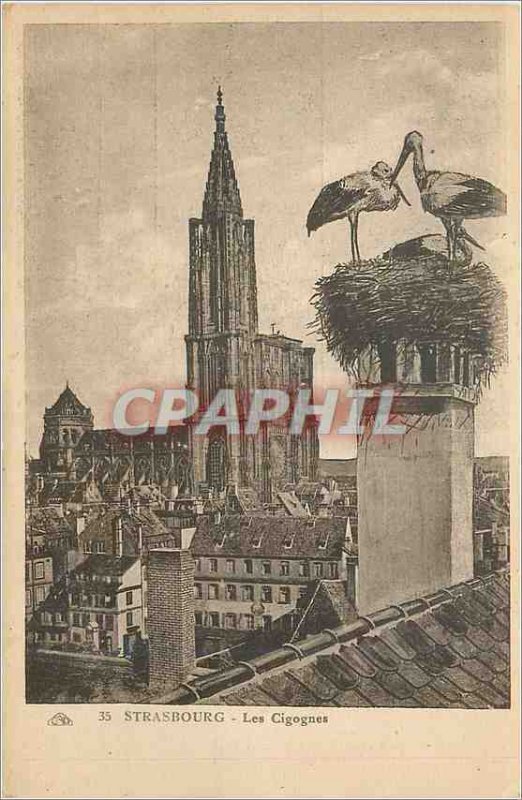 Postcard The Old Strasbourg Nesting
