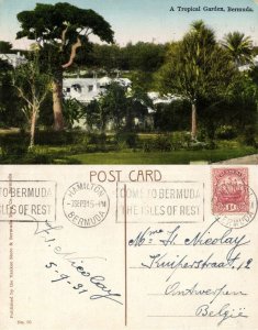 bermuda, Tropical Garden, Trees (1931) Postcard