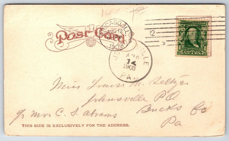 Chicago Illinois~Victorians On State Street~Lil Girl~To Rent~1903 B&W Postcard