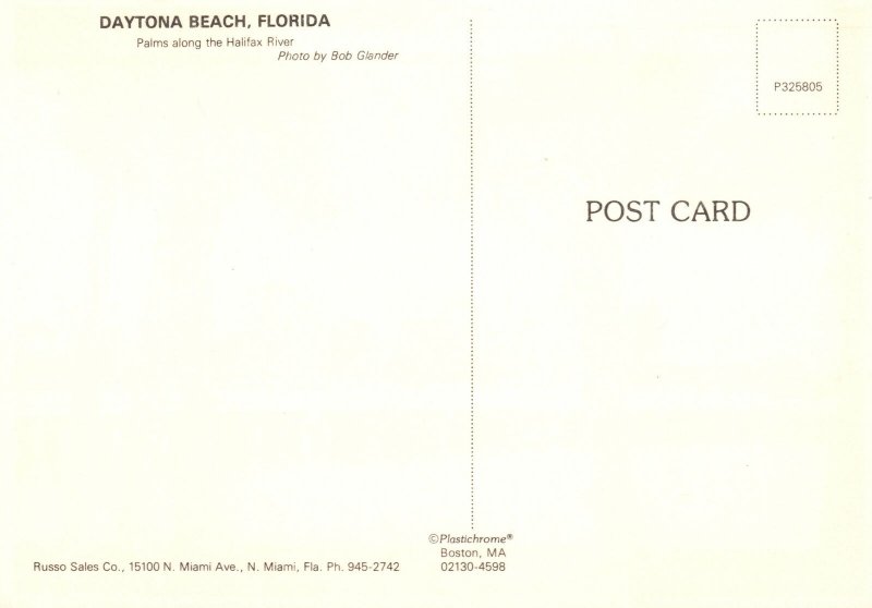 Postcard Palms Along The Halifax River Daytona Beach Florida Russo Sales Co.