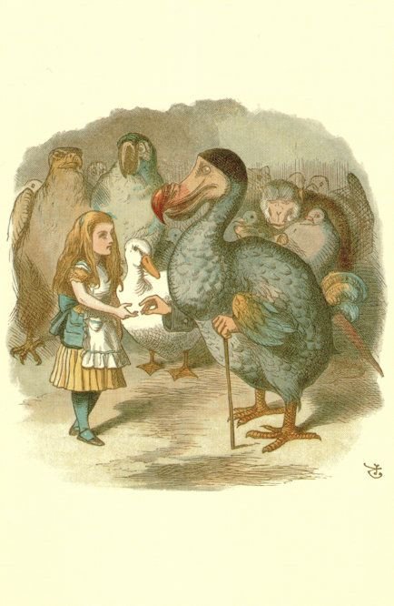 Dodo in Alice In Wonderland 1890 Victorian Book Postcard