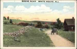 White House Whitehouse NJ Rural Scene Horse and Carriage Vintage Postcard