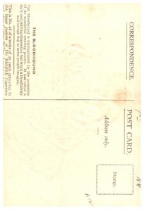 Dog , Bloodhound ,    artist signed