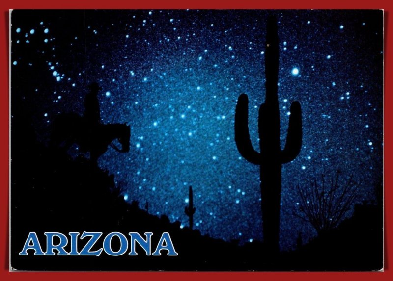 Arizona - Night Rider - Saguaro Cactus - [AZ-379X]