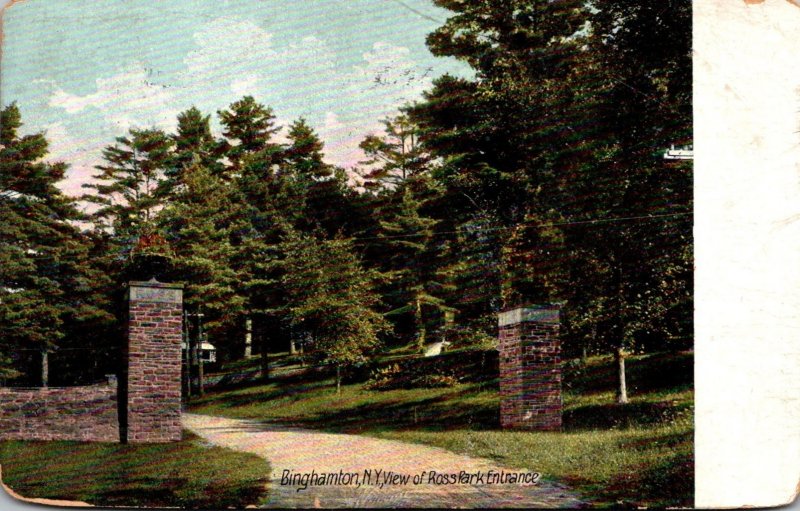 New York Binghamton View Of Ross Park Entrance 1909