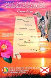 ALABAMA Map Postcard - Cotton State -  State Symbols