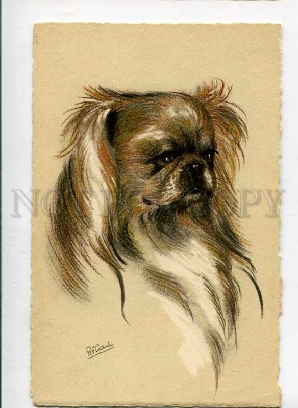 3140792 Pekingese Portrait by GAULI vintage Colorful PC