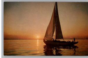 Postcard-Unknown Location..Sunset..Sailboat..Sail Boat