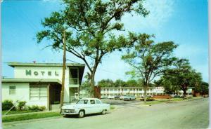 AUGUSTA, GA Georgia    UNIVERSITY MOTEL  1955  Cars   Roadside   Postcard