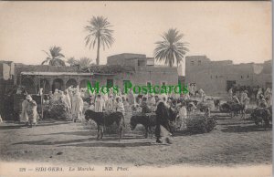 Algeria Postcard - Sidi-Okba, Le Marche, Biskra Province RS37010