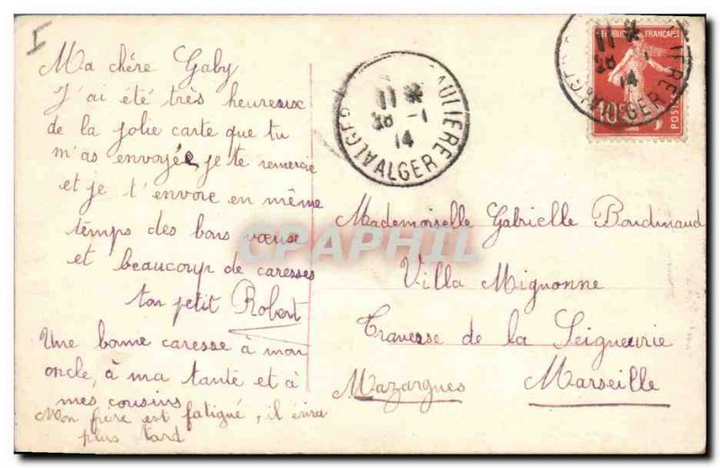 Old Postcard Dog Dogs