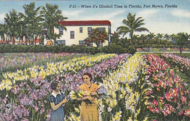 Florida Fort Myers Gladioli Time Curteich