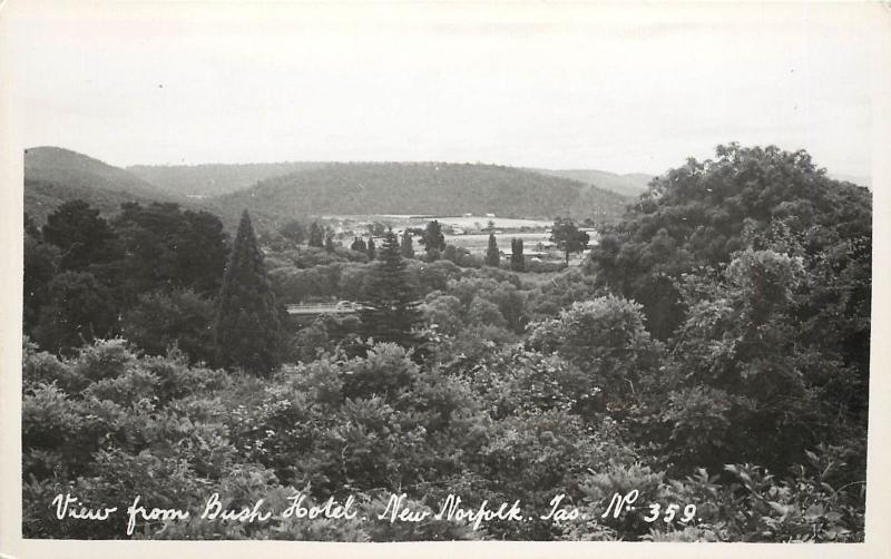 RPPC Postcard View From Bush Hotel Norfolk Tasmania Australia #359 